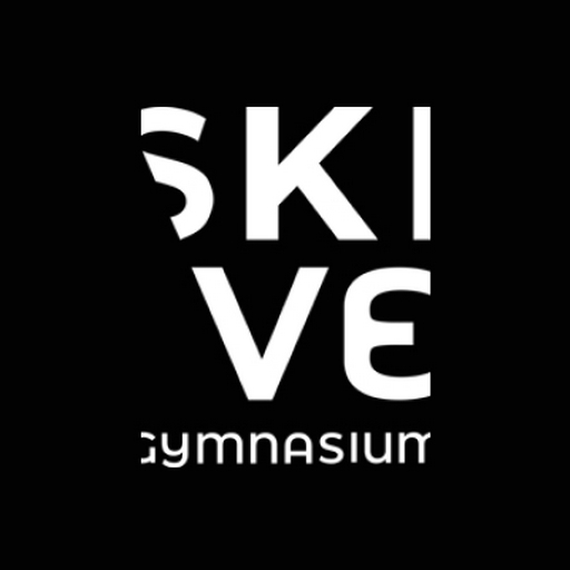 Festudvalget Skive Gymnasium-profile-picture